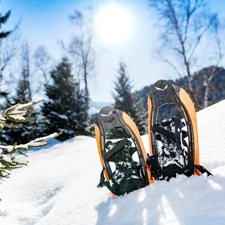 Garni Sonnalp 4* موراخ