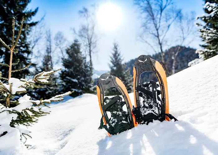 Garni Sonnalp 4* Maurach (Achensee)